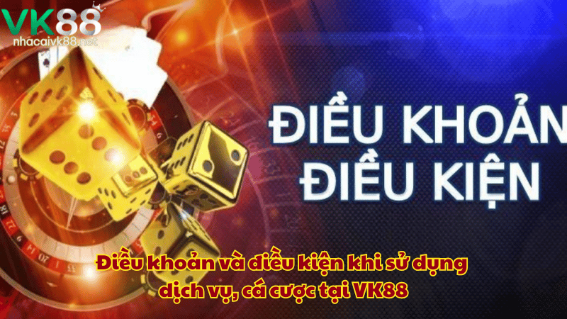 Điều khoản và điều kiện khi sử dụng dịch vụ, cá cược tại VK88